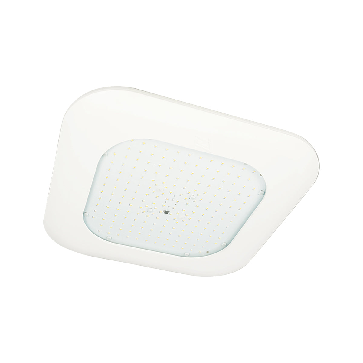 Scottsdale® CRUS Canopy Fixture