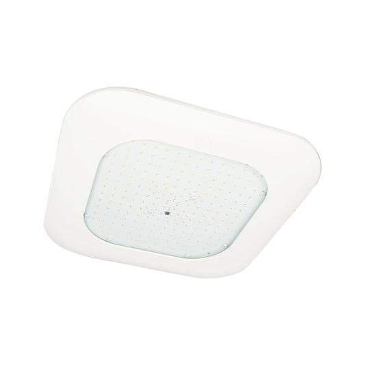 Scottsdale® CRUS Canopy Fixture